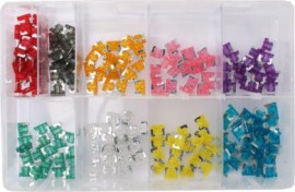 Assorted Micro Fuses (200)