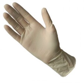 Latex Gloves (powder free)